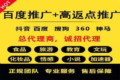 竞价广告案例分析：品牌成功之道